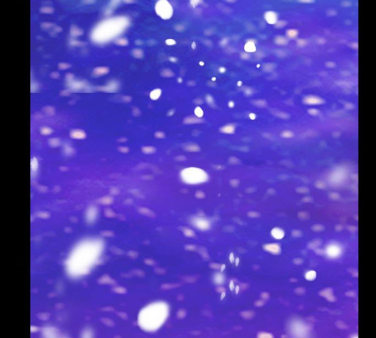 1633928600458nxbke733e7.jpeg