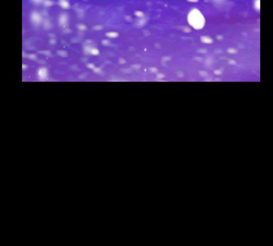 1633928600562fy1sxhdm94q.jpeg