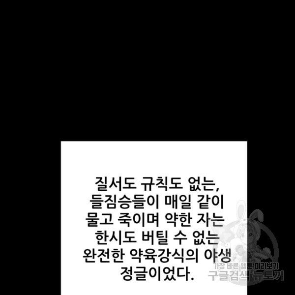 163445206894523gkxi135p6.jpeg