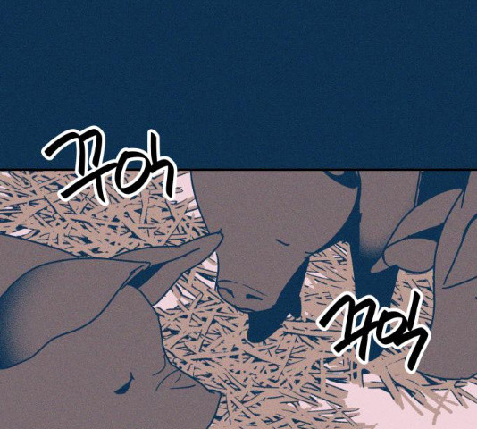 1636059132669otpgh65wekb.jpeg