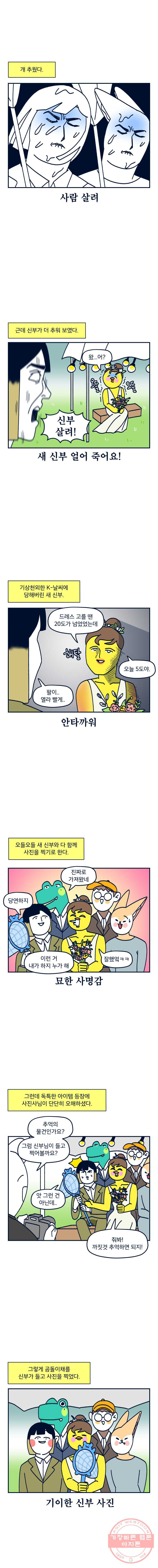 1624757270915.jpeg
