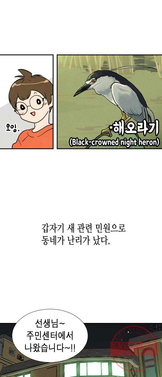 1626235264503.jpeg