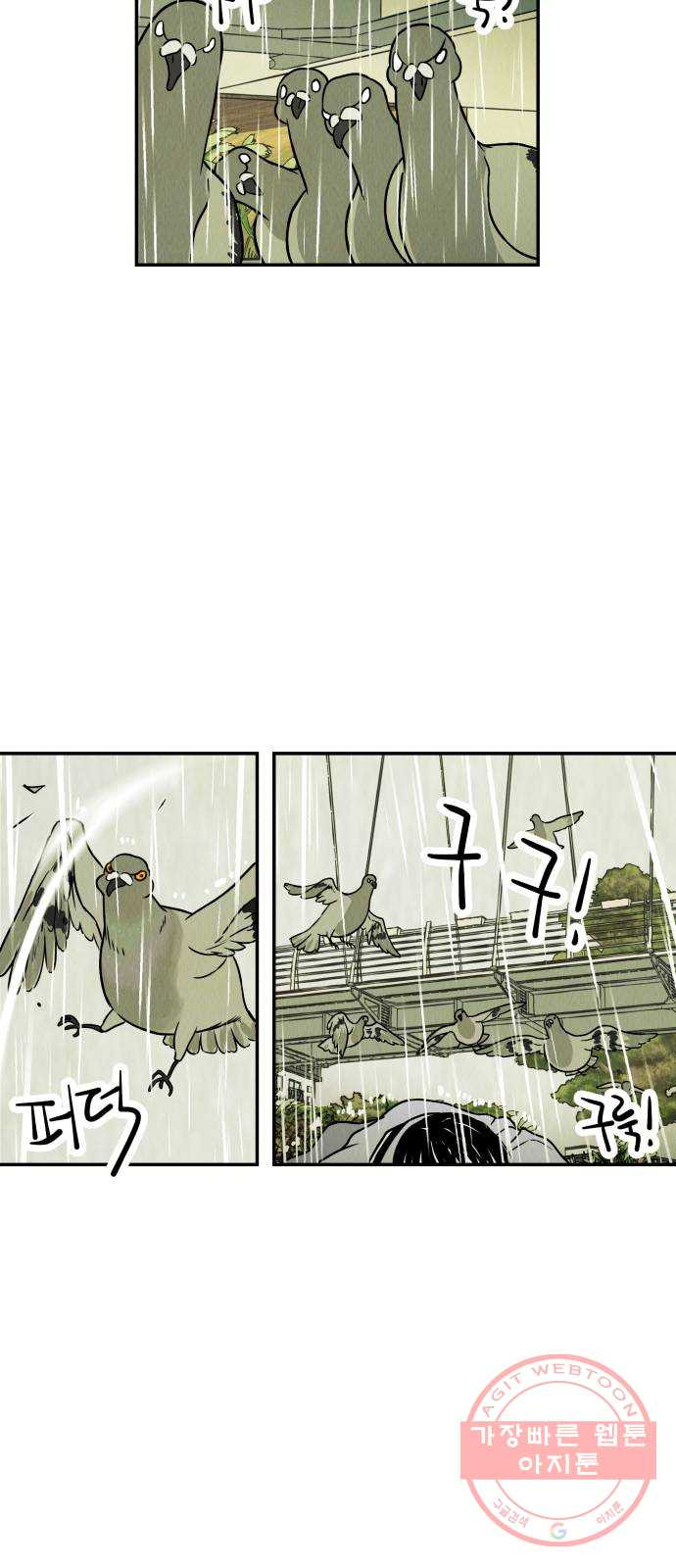 1627449864910.jpeg