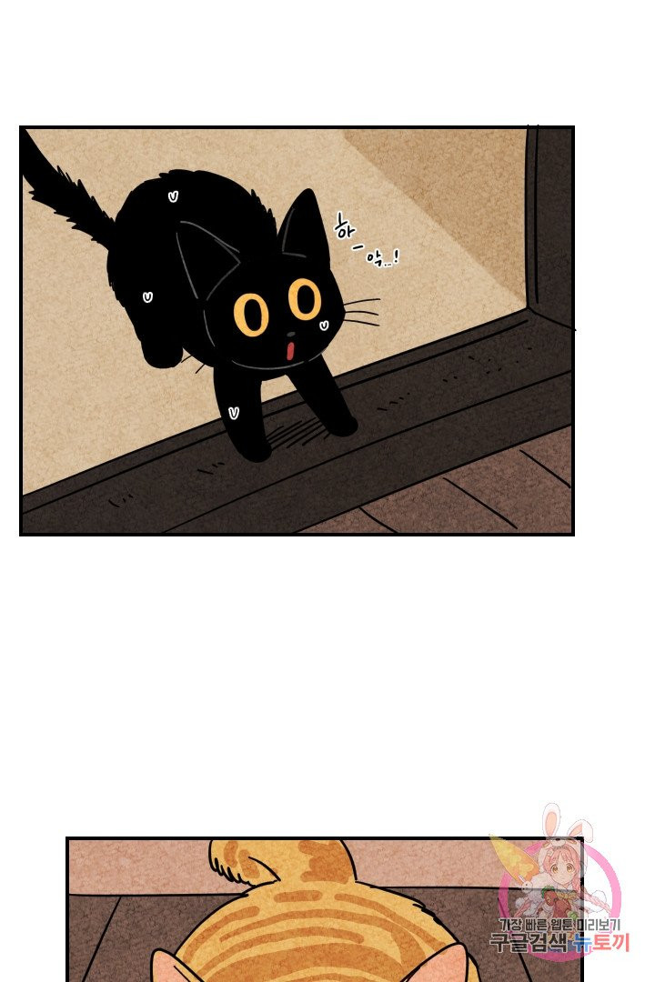 1631926347911eniccili2d6.jpeg