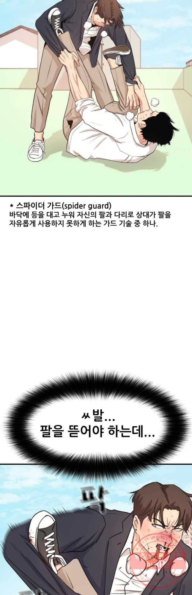 163262327190044t5dlrvaau.jpeg