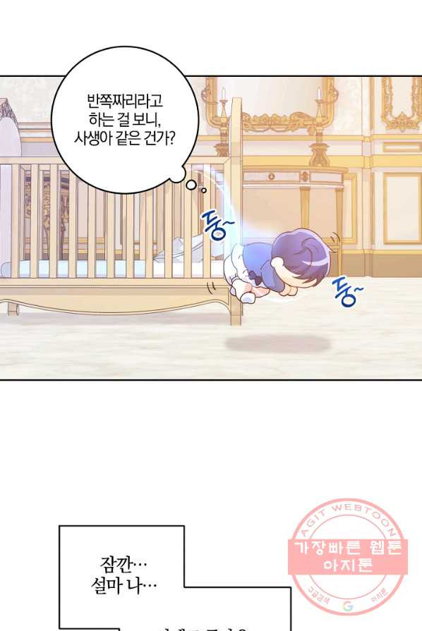 1641010051556h5ax6icuyx.jpeg