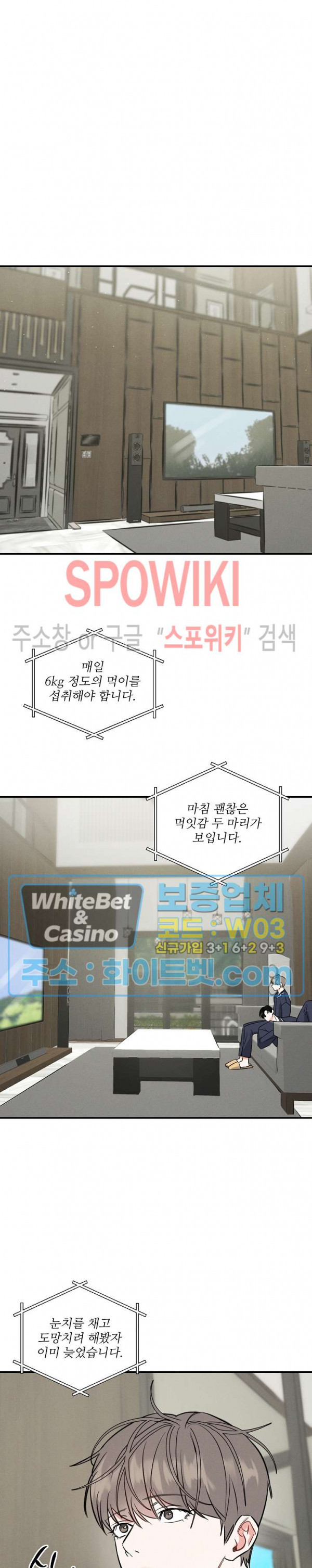 1670896539692aajjii6nqw.jpg