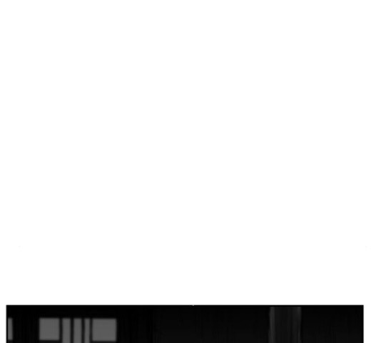 1646004409445e310e4ksrgs.jpeg