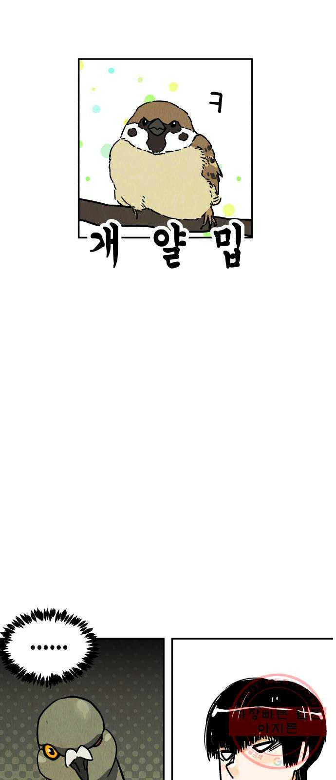 1648007202404owu0170c5ib.jpeg