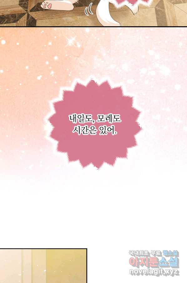 16499004486872om14ipiggr.jpeg