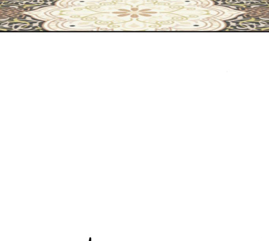 16510028079453ym0v977jvx.jpeg