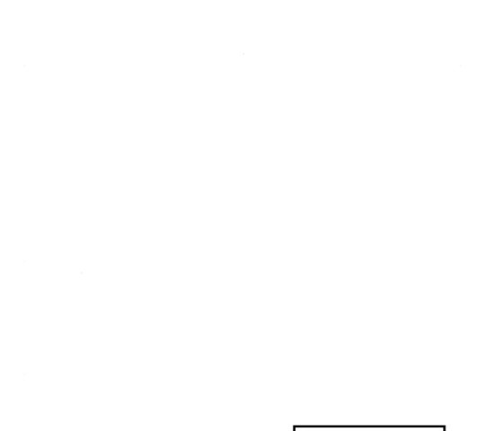 1651002819585xzqkgt8535.jpeg