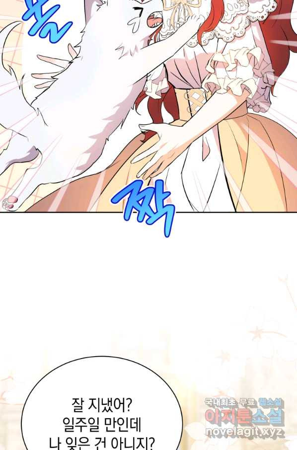 1653615739121kalismso79d.jpeg