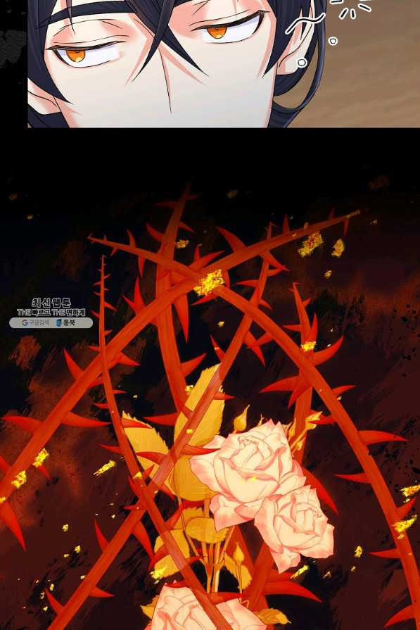 1657850320236m9yyynplf5.jpeg