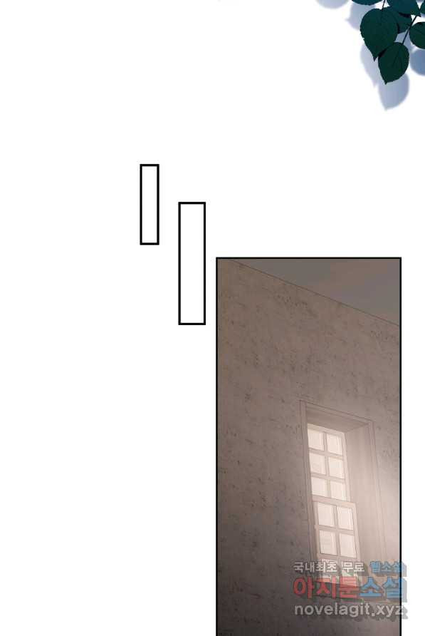 16567406114296w3fxh8fao5.jpeg