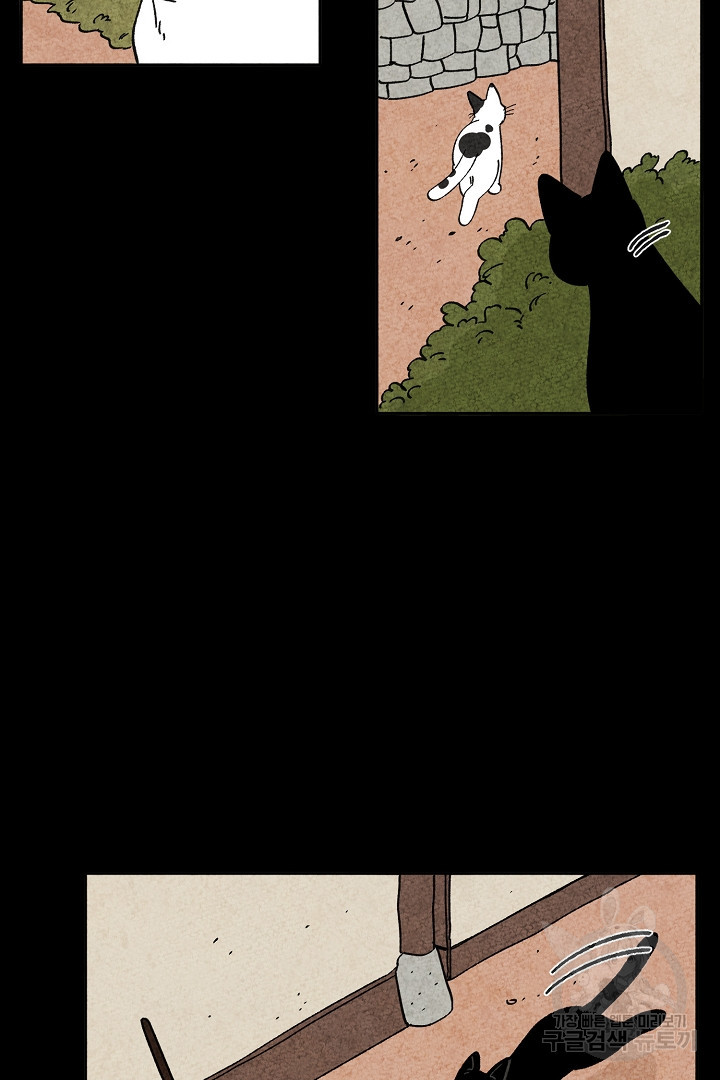 1678516958454pcsipr1io3.jpeg