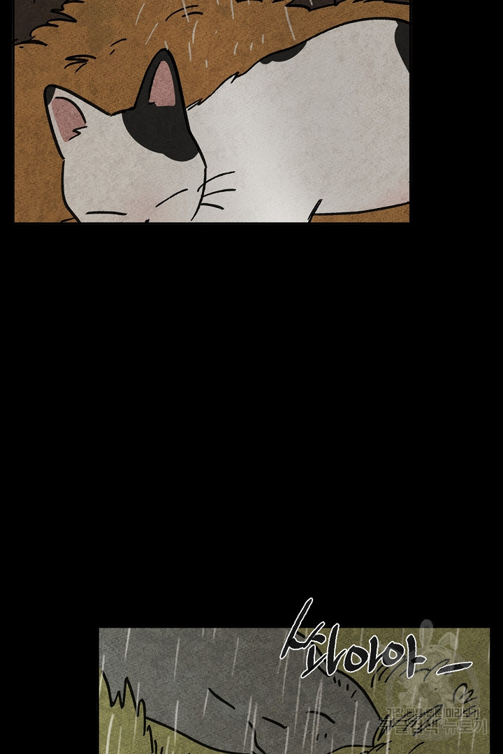16785169634294mcp1hr85q8.jpeg