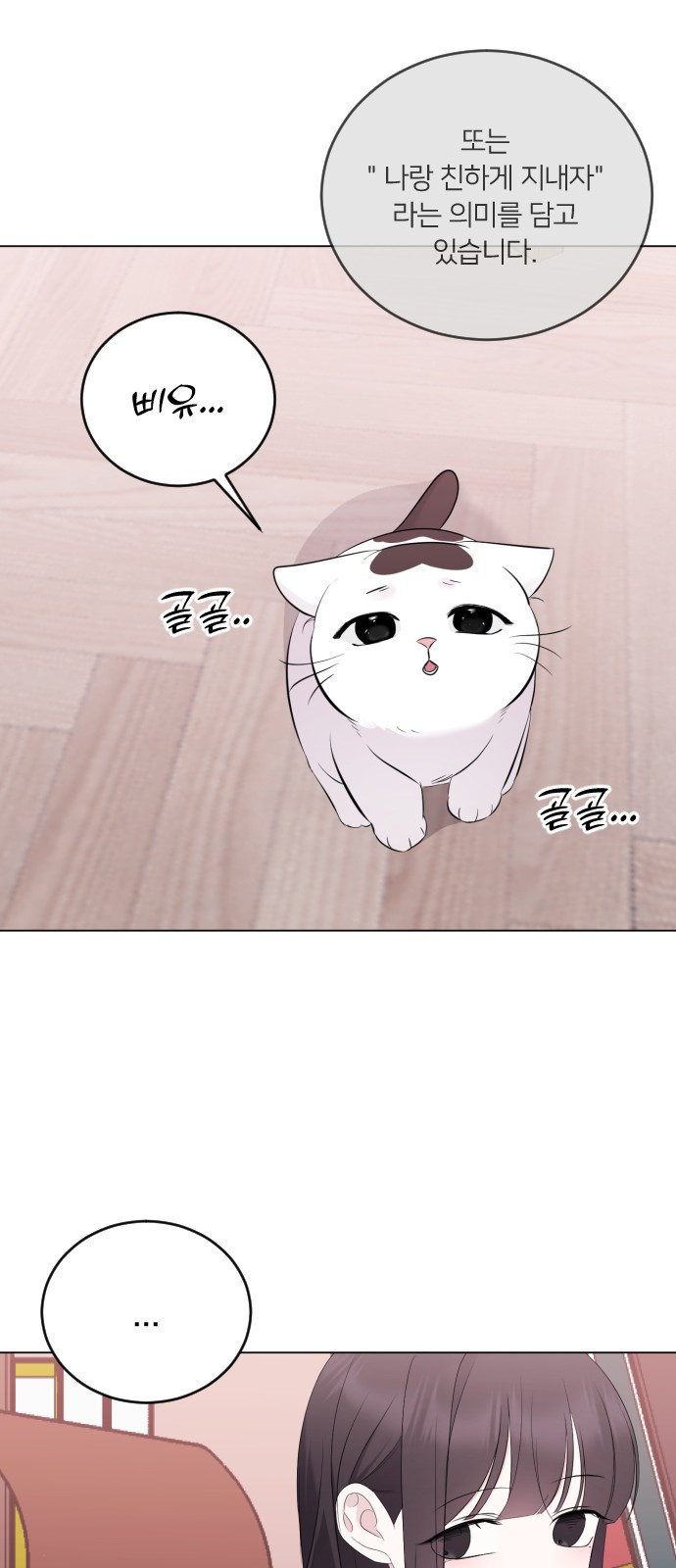 1680142996319rcpaqshsj8.jpeg