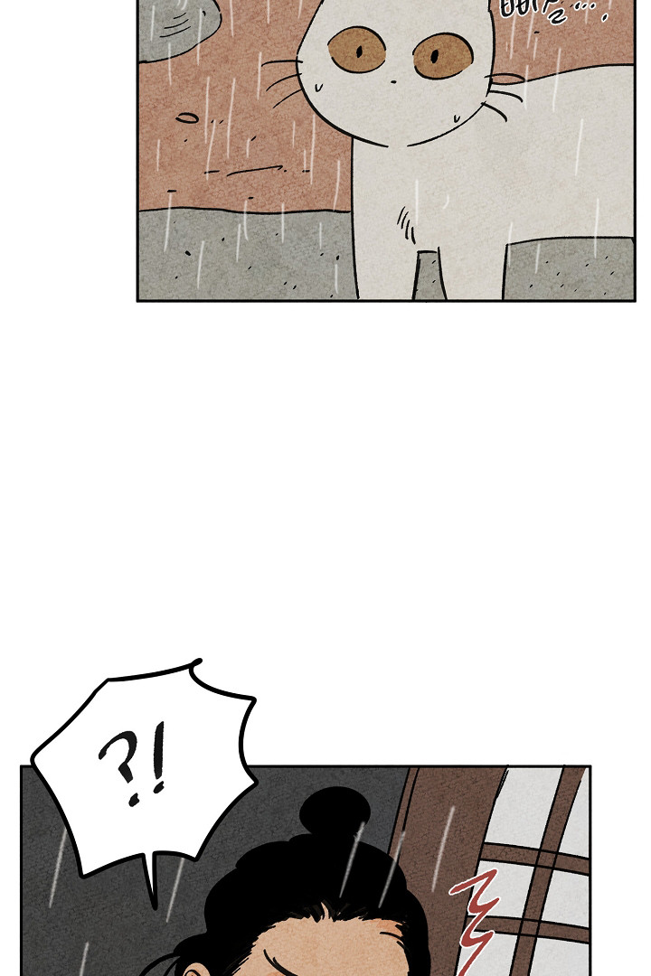 16809238625396vutr1ssiv.jpeg