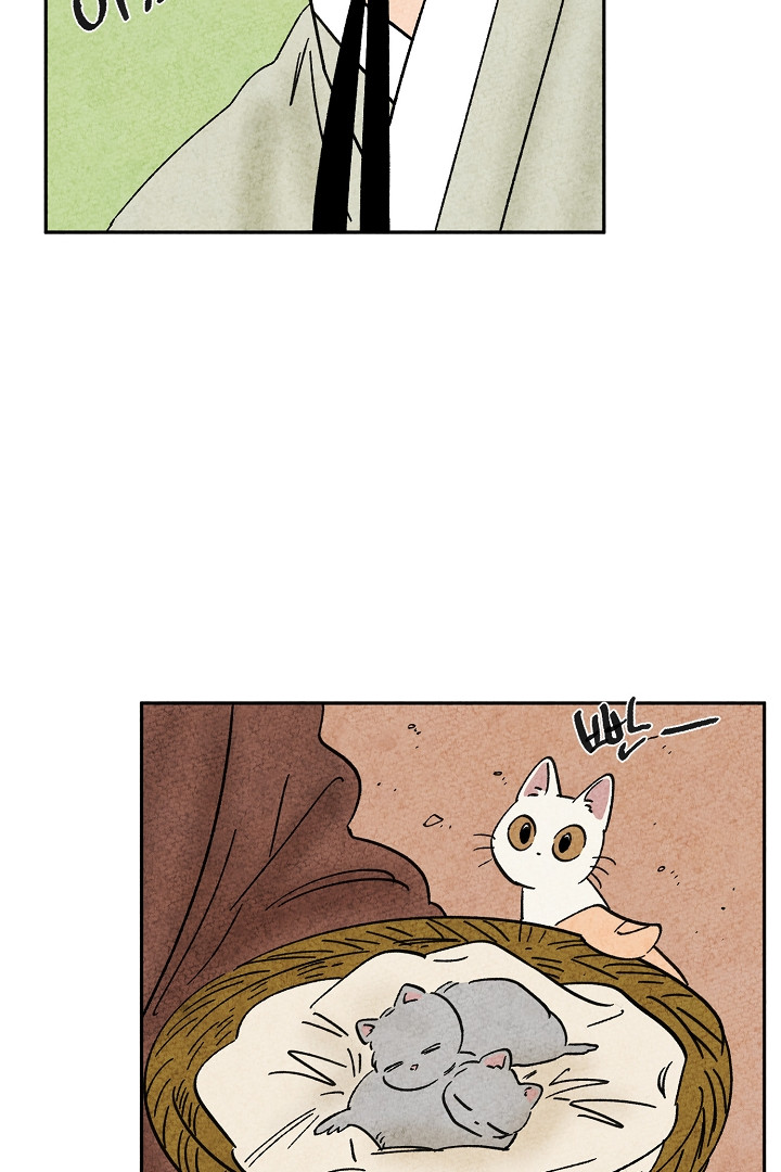 16809238771483kpagjfx4hj.jpeg