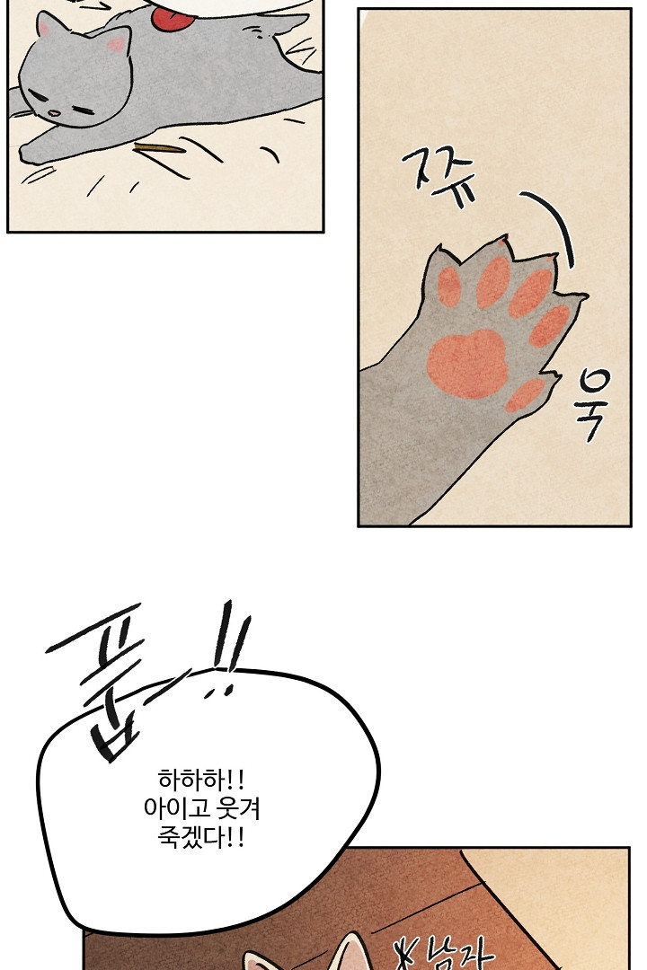 1680923886712hxgl4a5mo35.jpeg