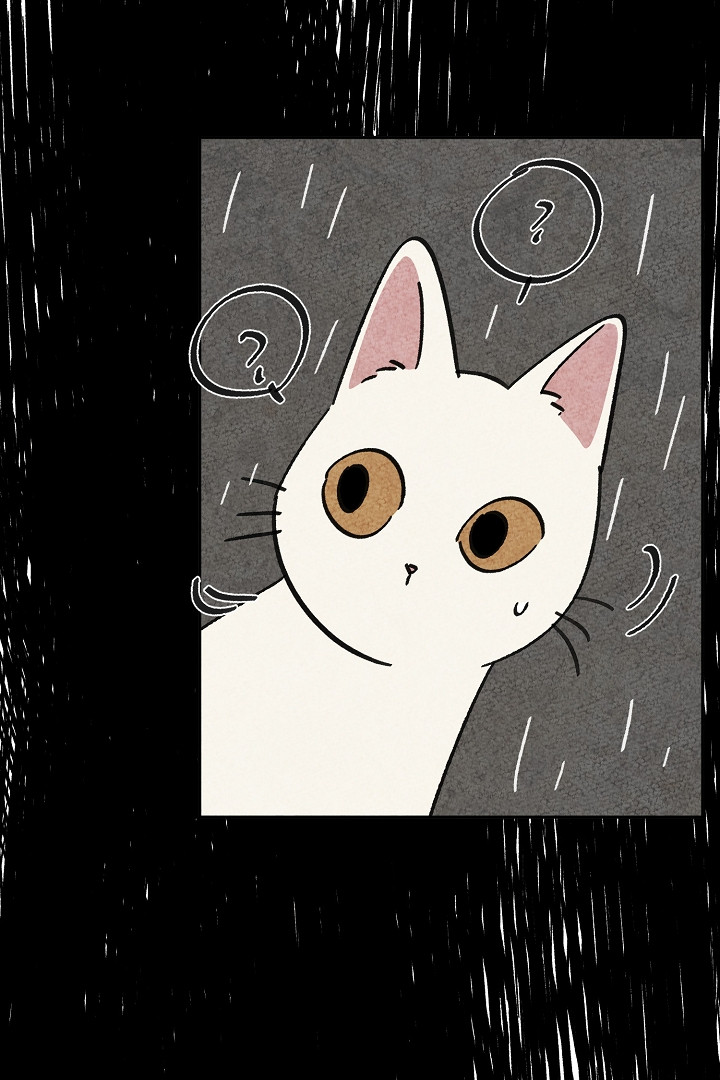16809238925183ye8u3soi3s.jpeg