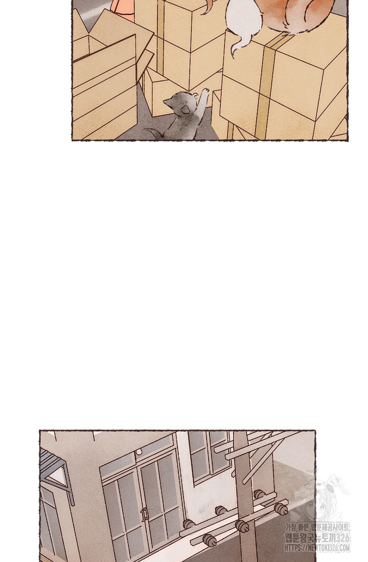 1708601987332pyhwtka8xod.jpeg