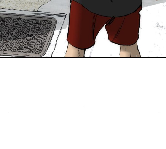 242.jpg