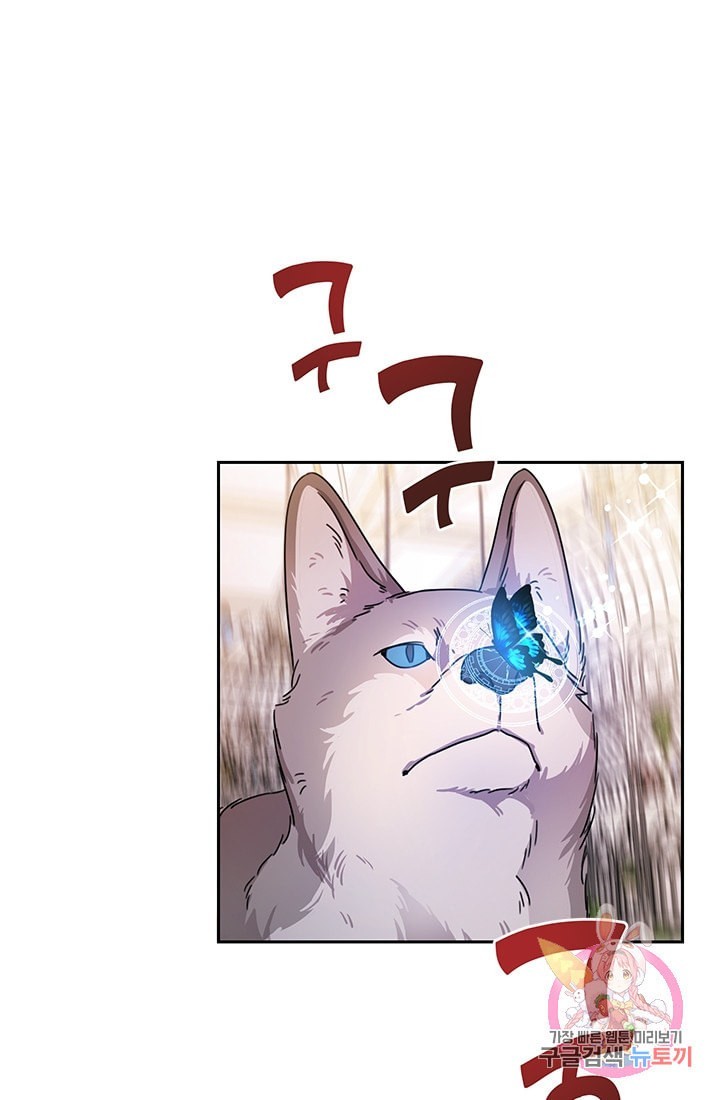 16118966954957.jpeg