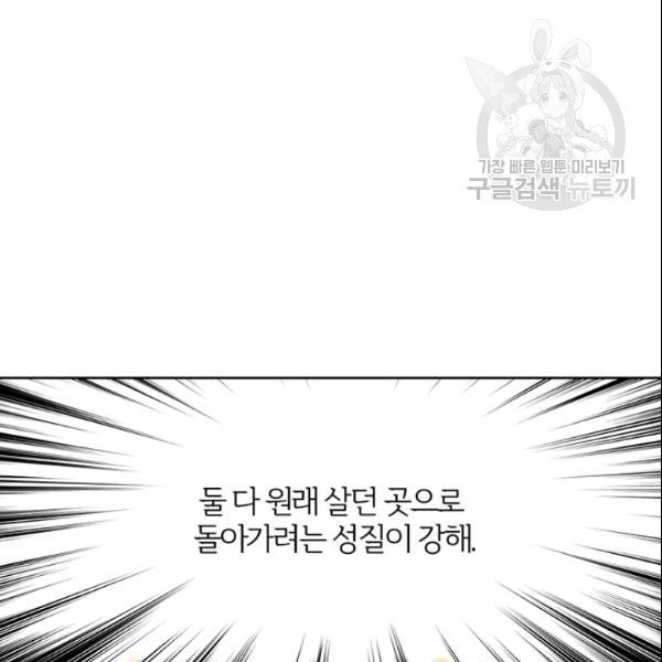 16132705444536.jpeg